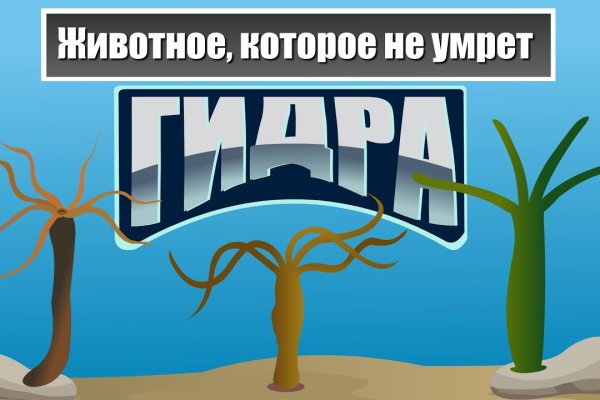 Кракен наркошоп сайт