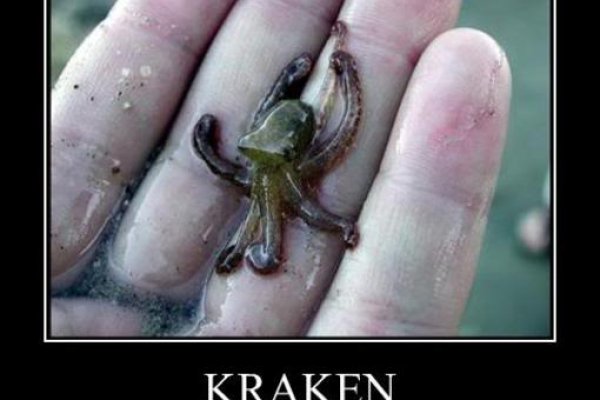 Kraken 18