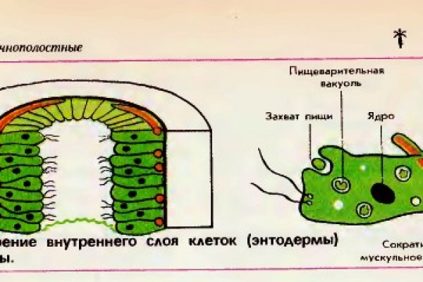 Кракен последние ссылки