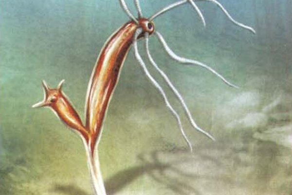 Кракен ссылка москва